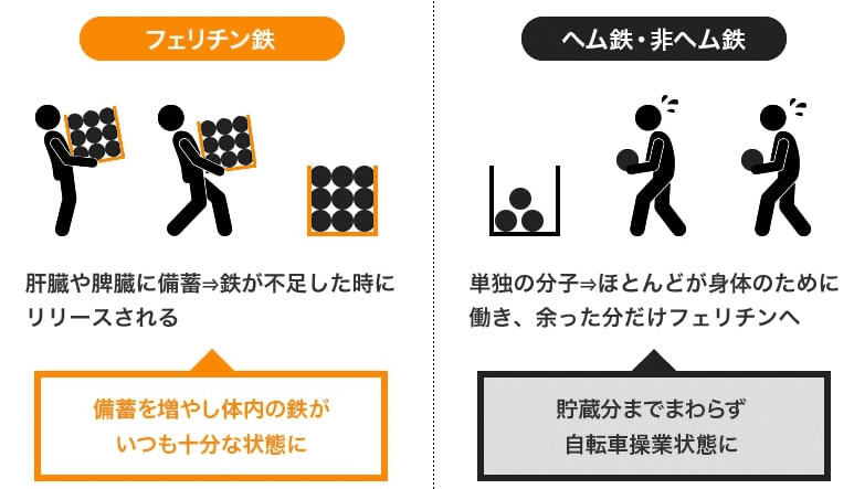 鉄分サプリおすすめランキング10選！貧血中に効果を引き出すコツ/注意点まで解説